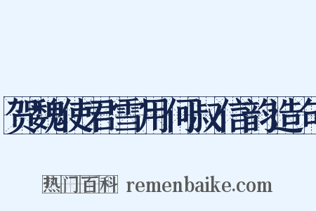 贺魏使君雪用何叔信韵造句是什么意思的图片